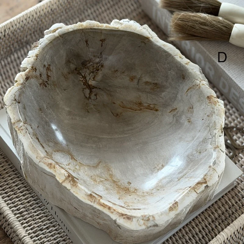 Petrified Wood Fossil Bowl - Image 5
