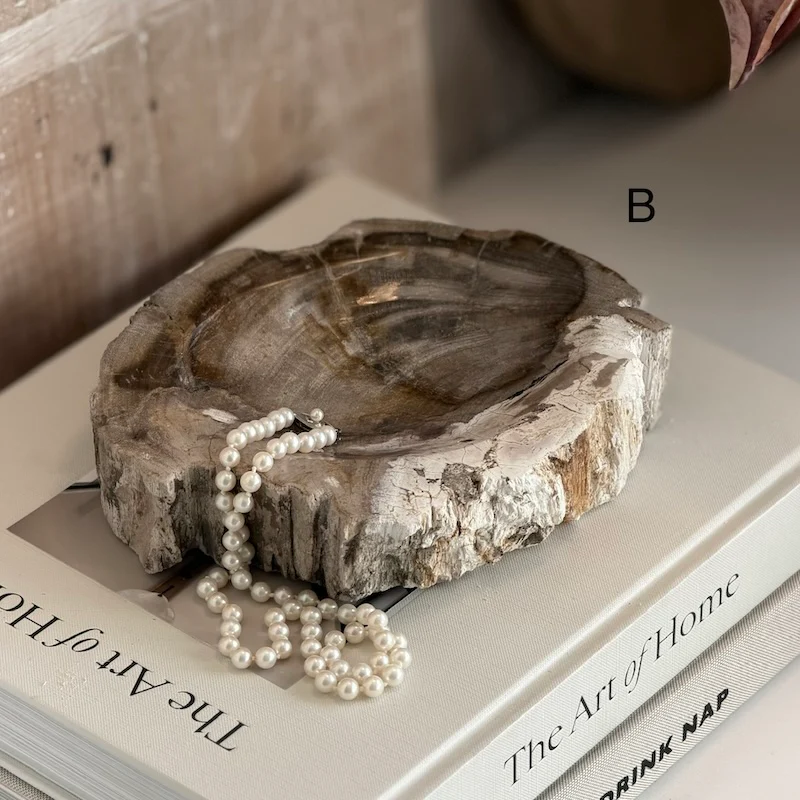 Petrified Wood Light Fossil Catchall Scoop - Image 3