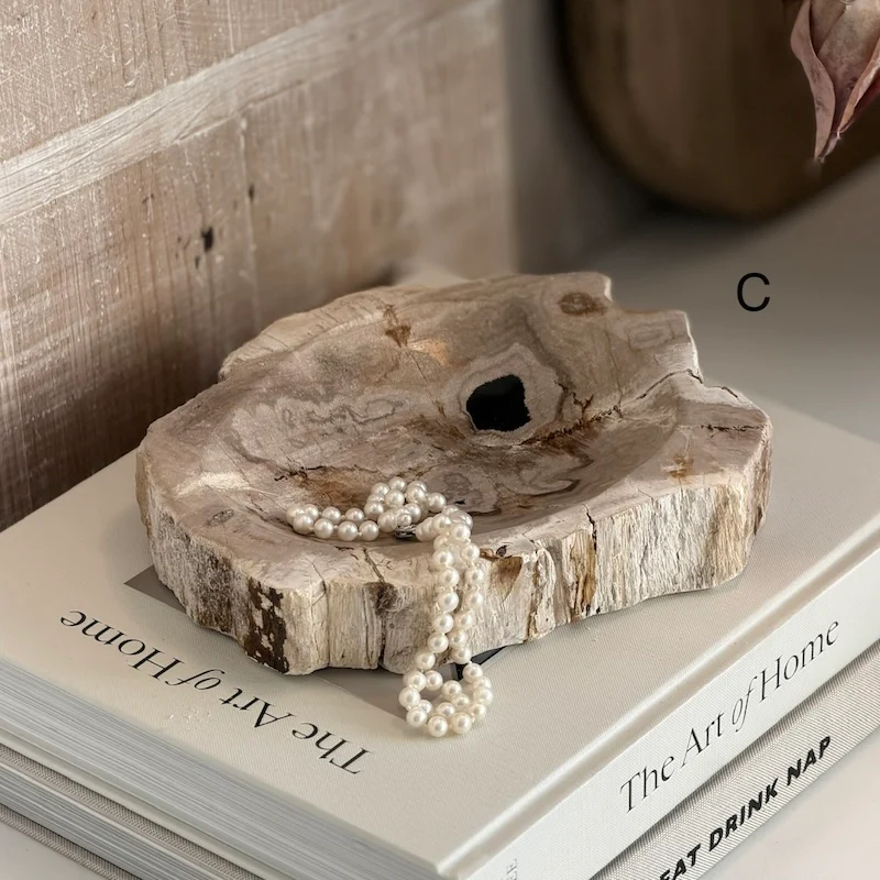 Petrified Wood Light Fossil Catchall Scoop - Image 4