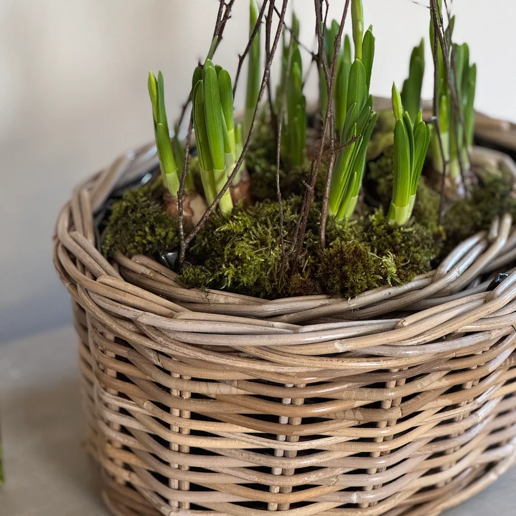 Rattan Oval Planter Basket - Image 2