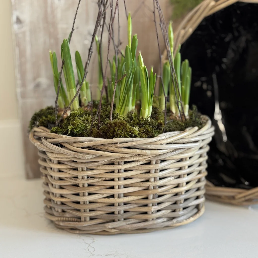 Rattan Oval Planter Basket - Image 5