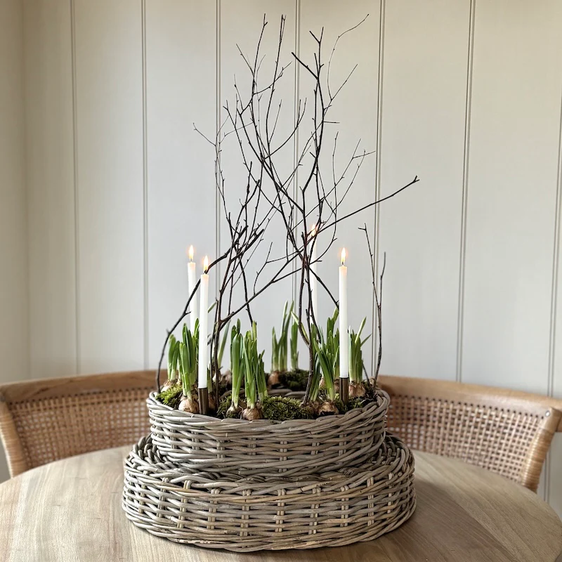 Rattan Ring Planter - Choice Of 2 Sizes - Image 3