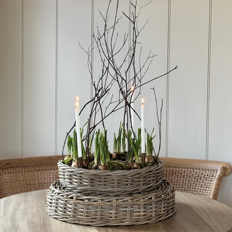 Rattan Ring Planter - Choice Of 2 Sizes - Image 4