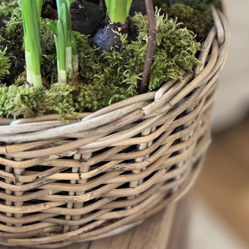 Rattan Round Planter - Image 3