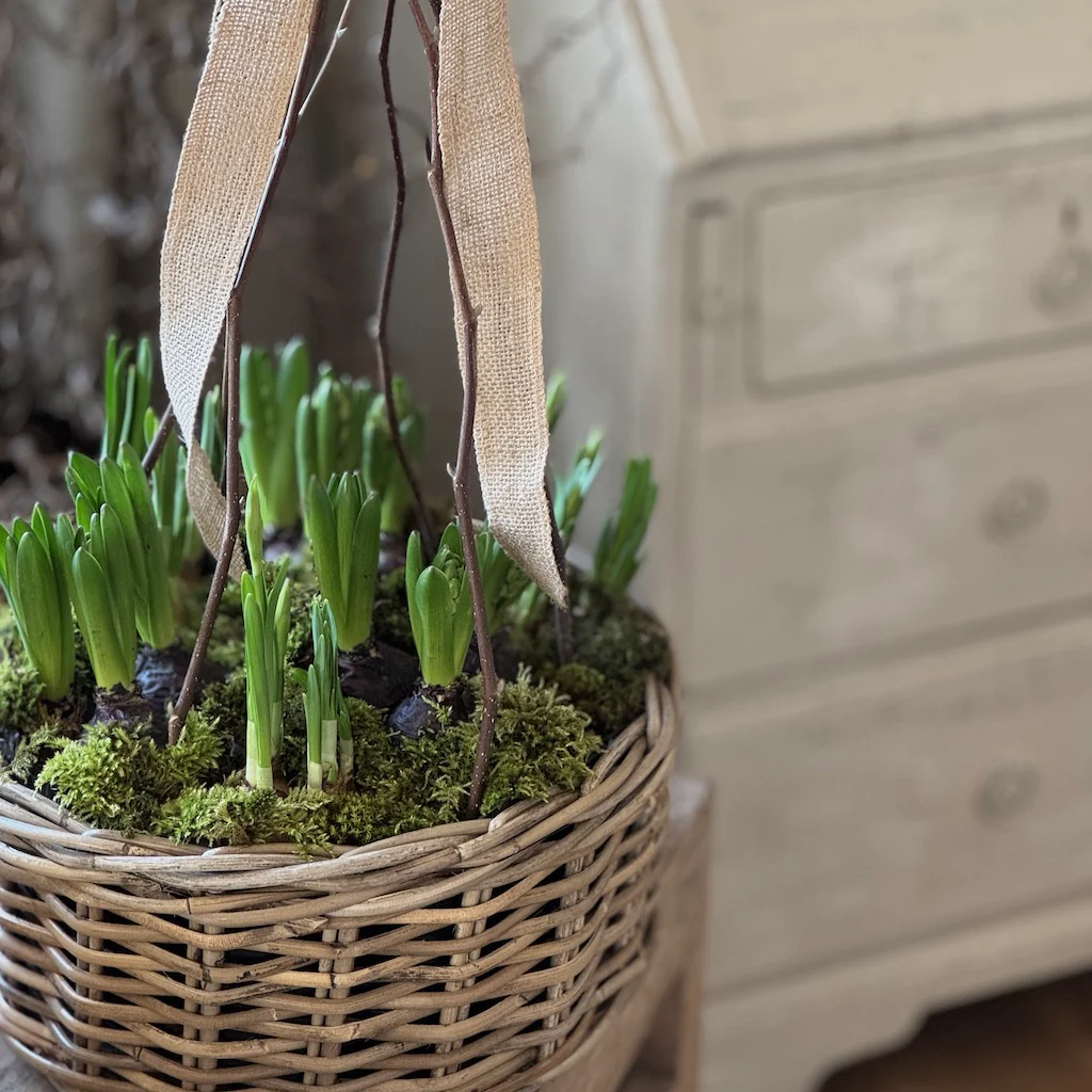 Rattan Round Planter - Image 4