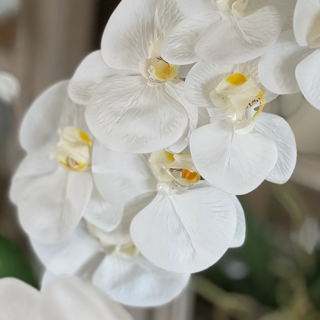 Real Touch Faux White Phalaenopsis Orchid Stem - Image 3