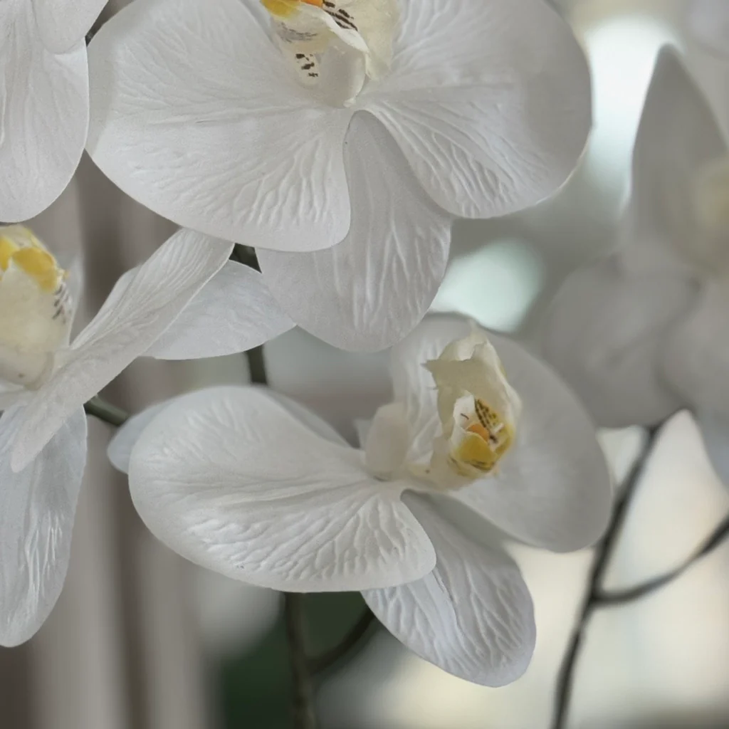 Real Touch Faux White Phalaenopsis Orchid Stem - Image 4