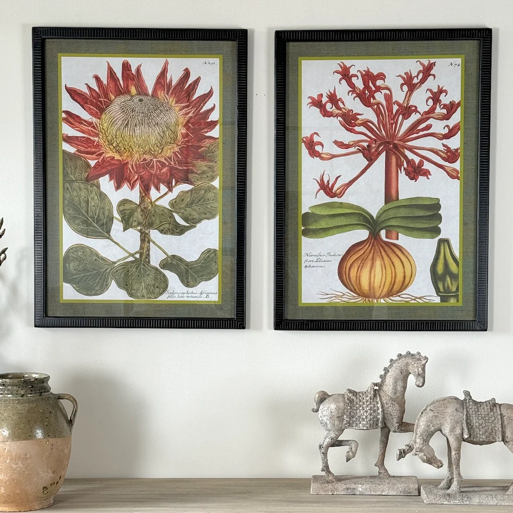 Retunde Liliaceo Framed Pictures Set 2 - Image 6