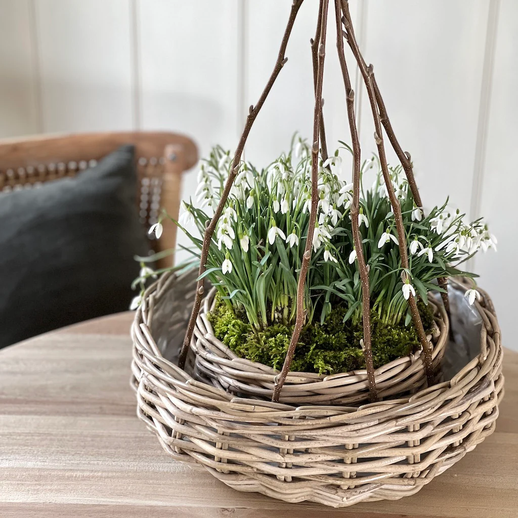 Round Rattan Planter - Image 4