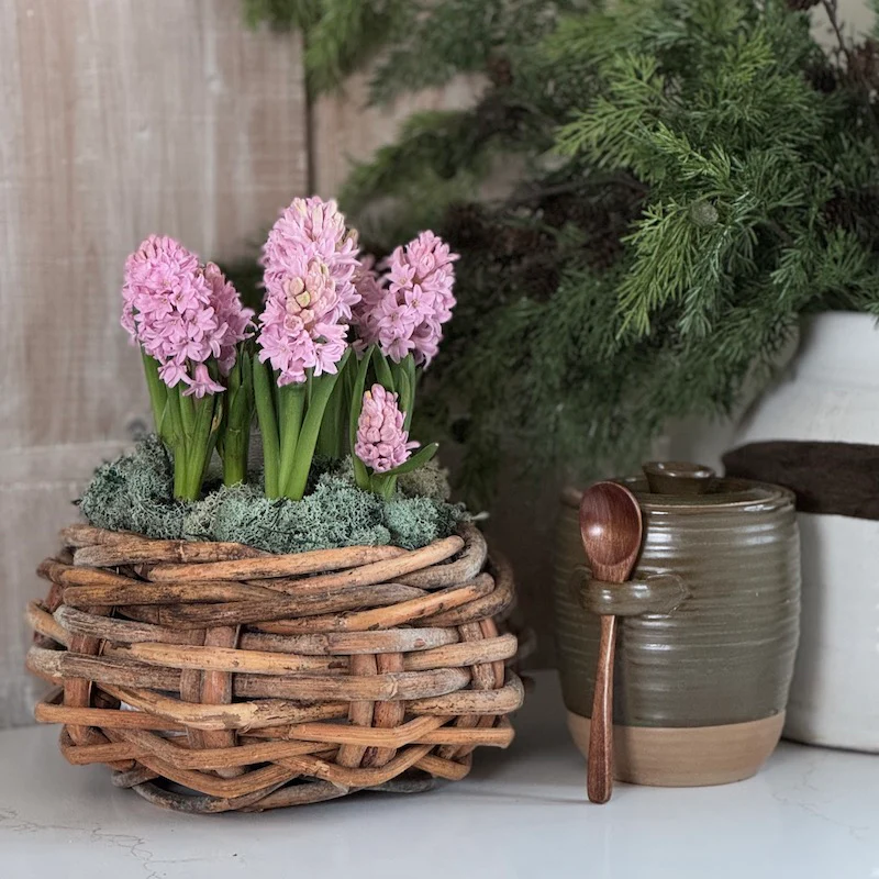 Rustic Kubu Table Planter