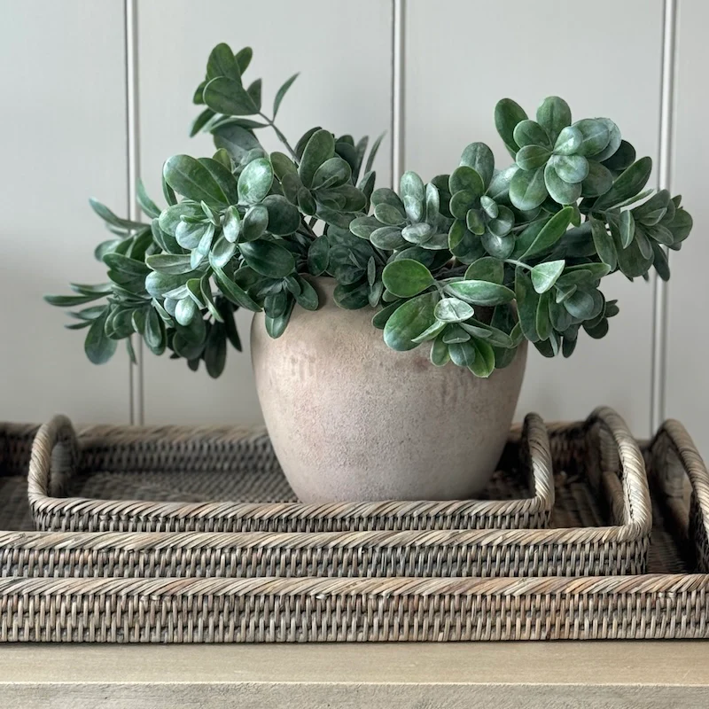 Small Rustic Clay Terracotta Pot