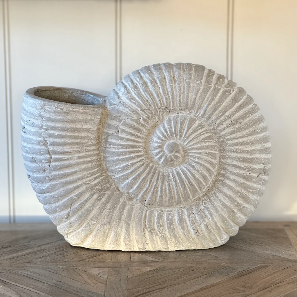 Stone Grey Ammonite Shell Ornament - Image 3