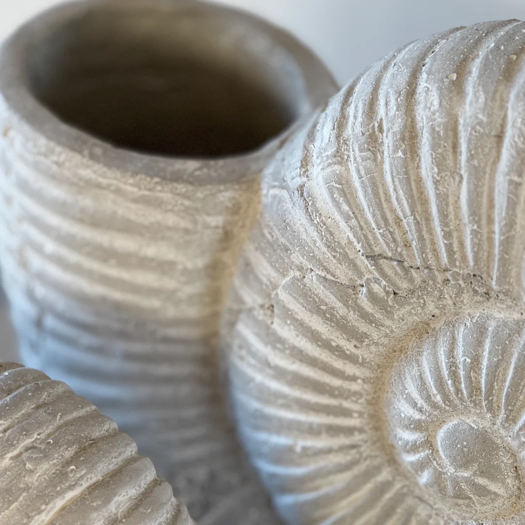 Stone Grey Ammonite Shell Ornament - Image 5