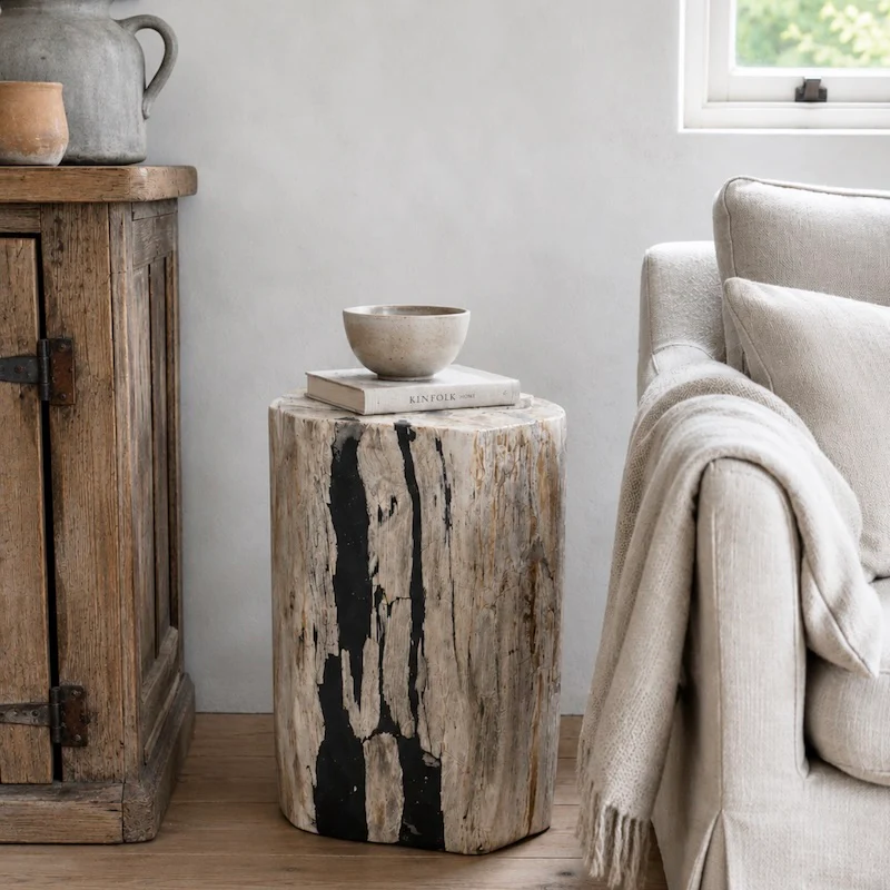 Stunning Rare Large Petrified Wood Fossil Blocks - Image 3