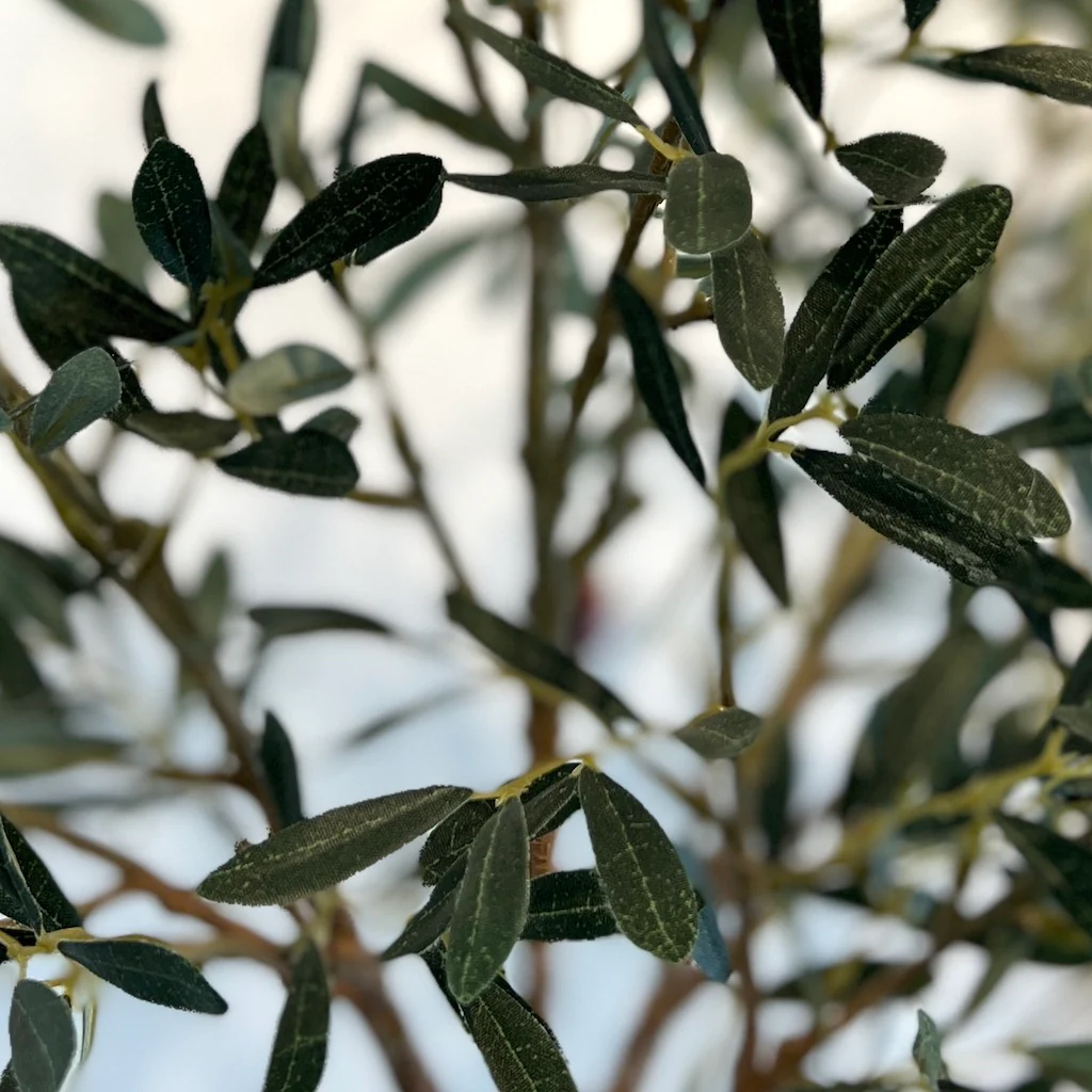 Tall Faux Olive Tree - Image 3