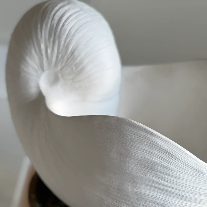 Utmost Nautilus Shell Ornament - Image 3