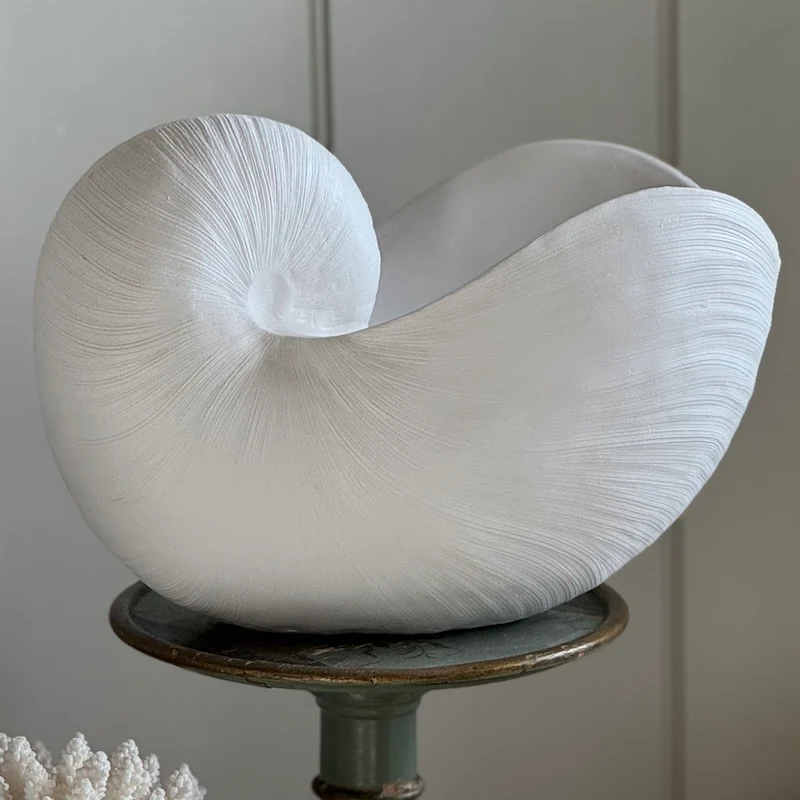 Utmost Nautilus Shell Ornament - Image 4