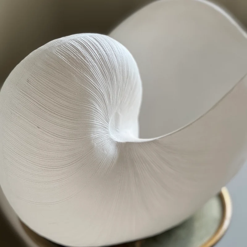 Utmost Nautilus Shell Ornament - Image 5