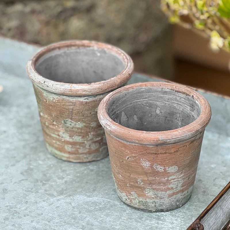 Vintage Style Geranium Terracotta Pot - Image 2