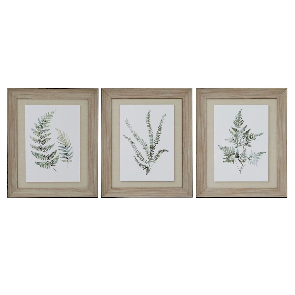 Watercolour Fern Prints Washed Frame Set 3 - Image 4