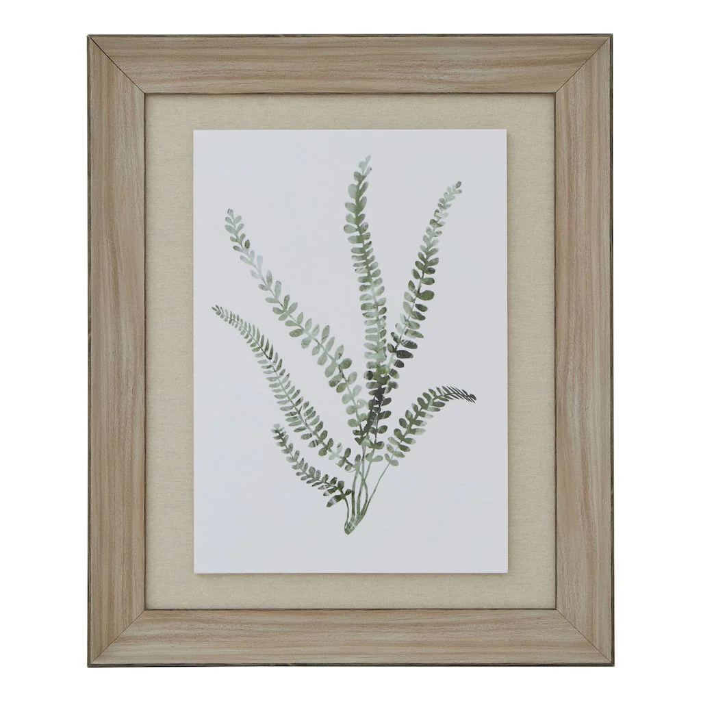 Watercolour Fern Prints Washed Frame Set 3 - Image 7