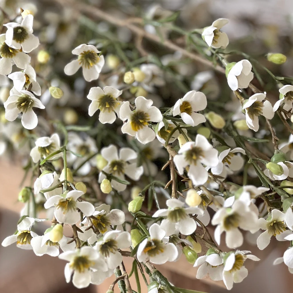 Wax Flower Spray - Image 3